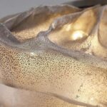 Suspension nuage luxe paillette – Image 5