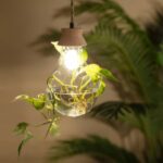 Luminaire suspension plante naturelle – Image 3