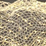 Suspension nuage grillage – Image 5