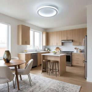 Plafonnier rond led 2