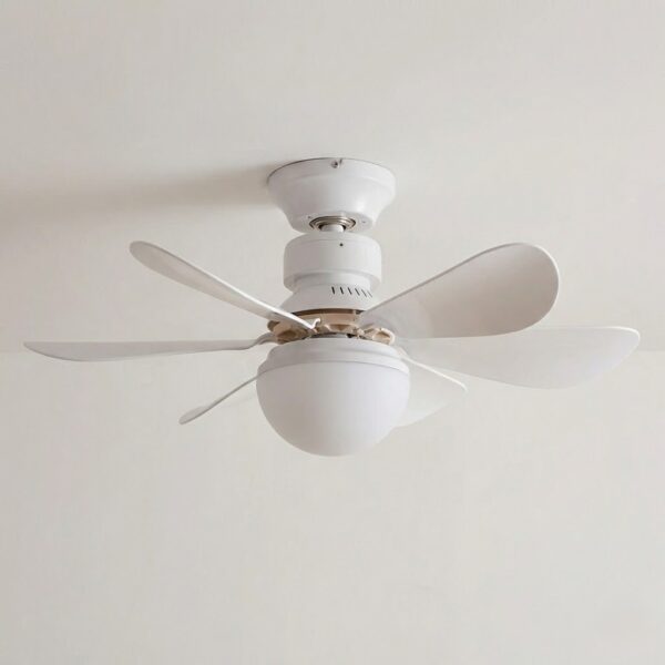 Globe ventilateur plafonnier