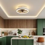 Plafonnier et ventilateur cuisine – Image 3